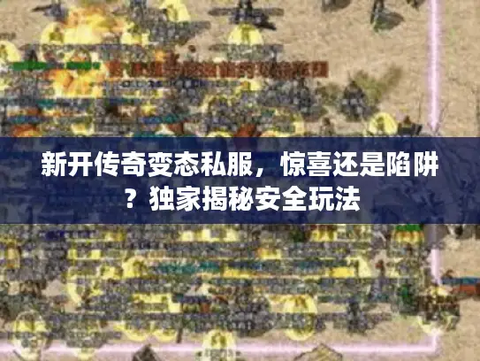 新开传奇变态私服，惊喜还是陷阱？独家揭秘安全玩法