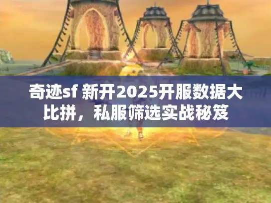 奇迹sf 新开2025开服数据大比拼，私服筛选实战秘笈
