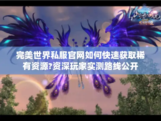 完美世界私服官网如何快速获取稀有资源?资深玩家实测路线公开