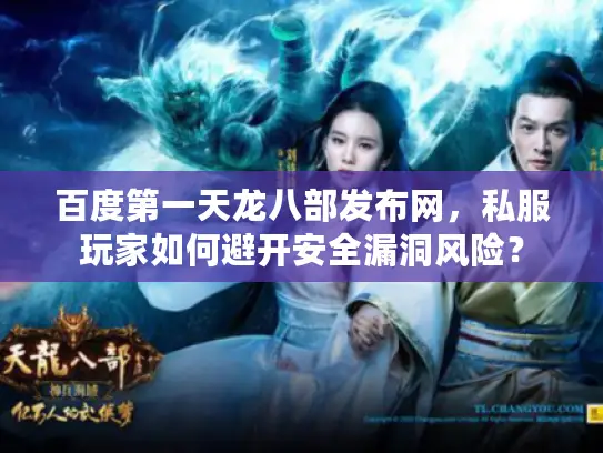 百度第一天龙八部发布网，私服玩家如何避开安全漏洞风险？