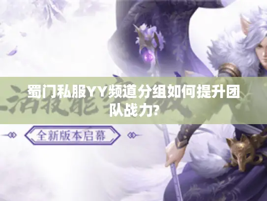 蜀门私服YY频道分组如何提升团队战力?