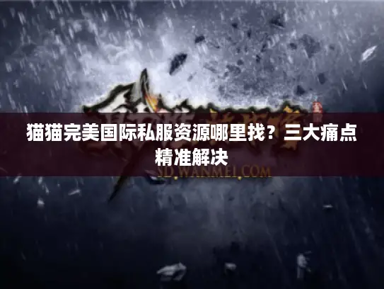 猫猫完美国际私服资源哪里找？三大痛点精准解决