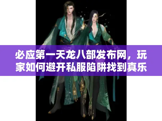 必应第一天龙八部发布网，玩家如何避开私服陷阱找到真乐趣？