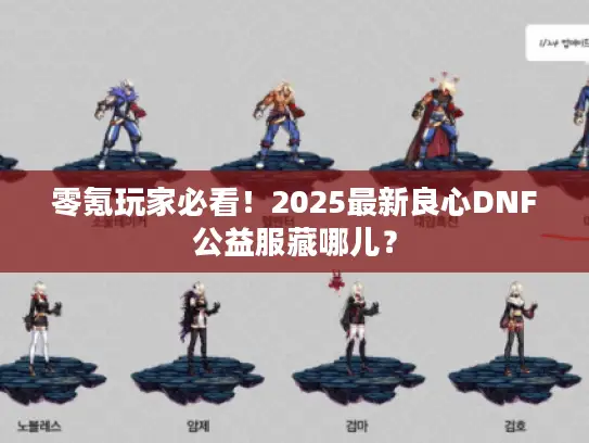 零氪玩家必看！2025最新良心DNF公益服藏哪儿？