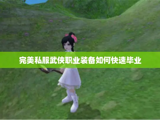 完美私服武侠职业装备如何快速毕业