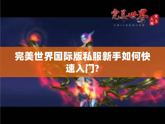 完美世界国际版私服新手如何快速入门? 完美世界国际版私服新手如何快速入门?