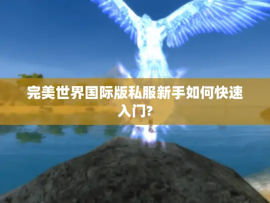 完美世界国际版私服新手如何快速入门? 完美世界国际版私服新手如何快速入门?