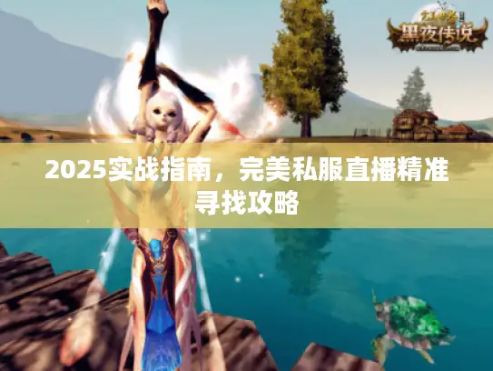2025实战指南，完美私服直播精准寻找攻略