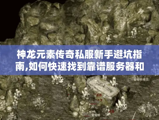 神龙元素传奇私服新手避坑指南,如何快速找到靠谱服务器和入门资源 神龙元素传奇私服新手避坑指南,如何快速找到靠谱服务器和入门资源