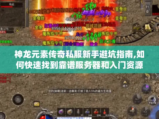 神龙元素传奇私服新手避坑指南,如何快速找到靠谱服务器和入门资源 神龙元素传奇私服新手避坑指南,如何快速找到靠谱服务器和入门资源