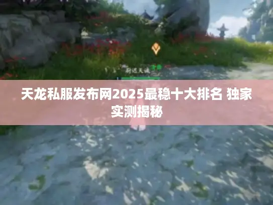 天龙私服发布网2025最稳十大排名 独家实测揭秘