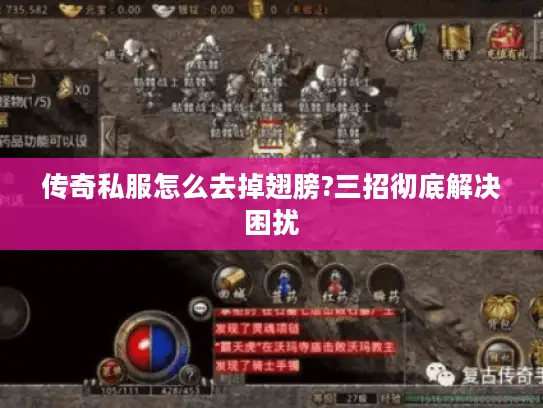 传奇私服怎么去掉翅膀?三招彻底解决困扰