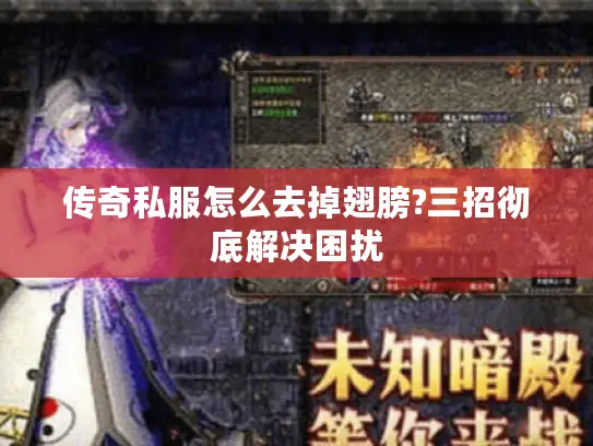 传奇私服怎么去掉翅膀?三招彻底解决困扰