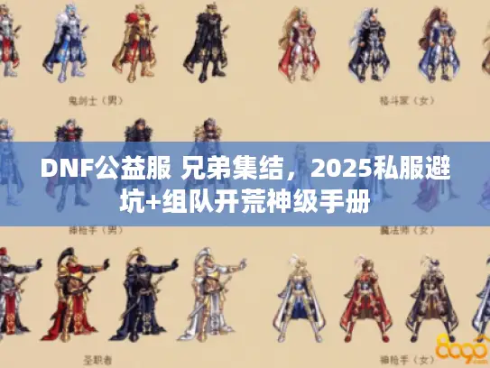 DNF公益服 兄弟集结，2025私服避坑+组队开荒神级手册