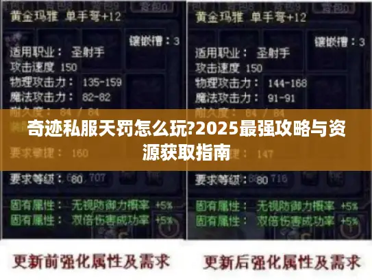 奇迹私服天罚怎么玩?2025最强攻略与资源获取指南