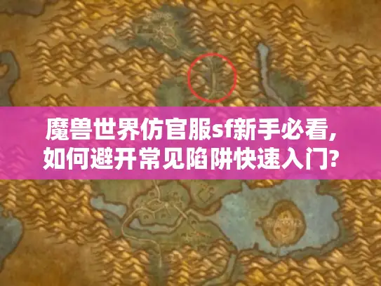 魔兽世界仿官服sf新手必看,如何避开常见陷阱快速入门?
