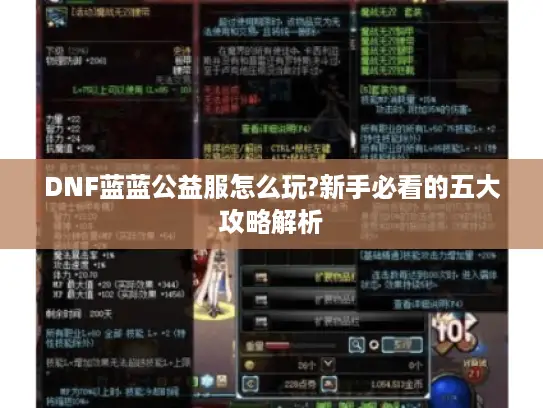 DNF蓝蓝公益服怎么玩?新手必看的五大攻略解析