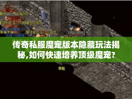 传奇私服魔宠版本隐藏玩法揭秘,如何快速培养顶级魔宠? 传奇私服魔宠版本隐藏玩法揭秘,如何快速培养顶级魔宠?