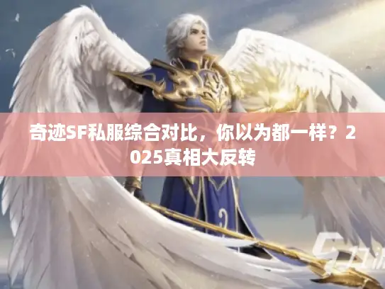 奇迹SF私服综合对比，你以为都一样？2025真相大反转