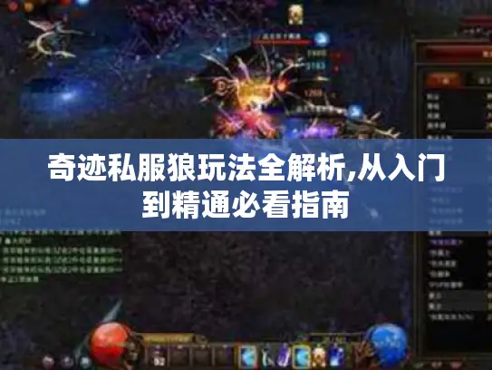奇迹私服狼玩法全解析,从入门到精通必看指南