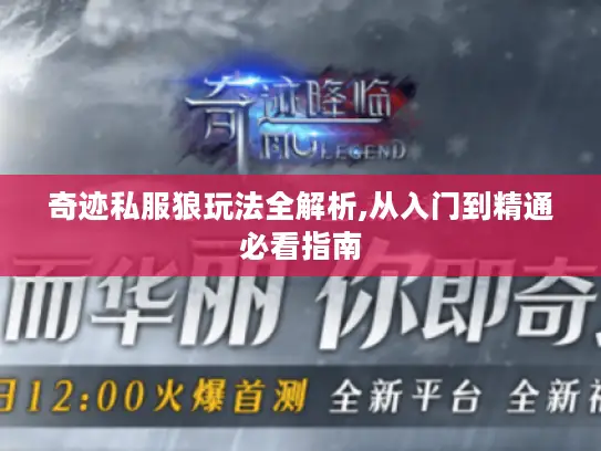 奇迹私服狼玩法全解析,从入门到精通必看指南