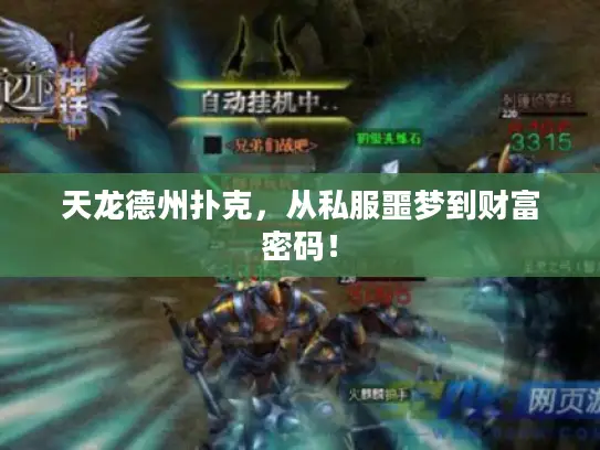 天龙德州扑克,从私服噩梦到财富密码! 天龙德州扑克,从私服噩梦到财富密码!