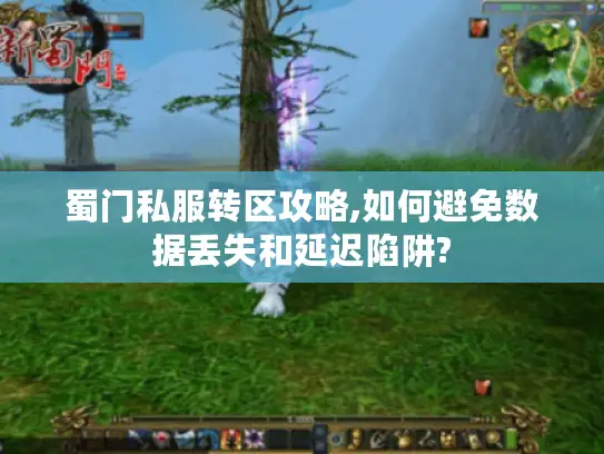 蜀门私服转区攻略,如何避免数据丢失和延迟陷阱?