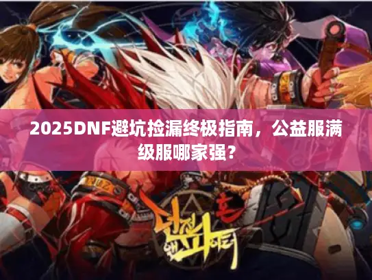 2025DNF避坑捡漏终极指南，公益服满级服哪家强？