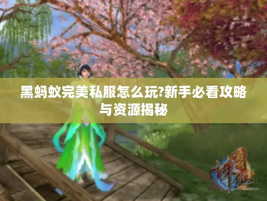 黑蚂蚁完美私服怎么玩?新手必看攻略与资源揭秘