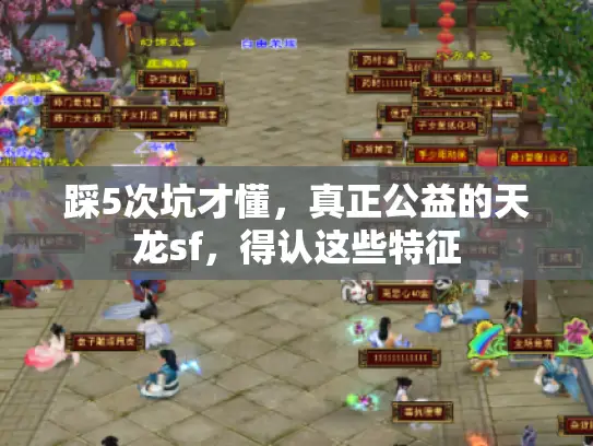 踩5次坑才懂,真正公益的天龙sf,得认这些特征 踩5次坑才懂,真正公益的天龙sf,得认这些特征