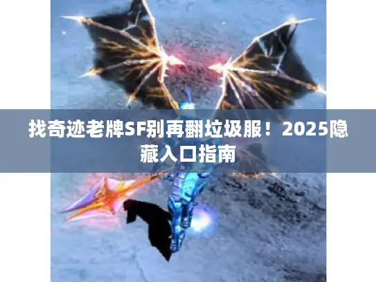 找奇迹老牌SF别再翻垃圾服！2025隐藏入口指南