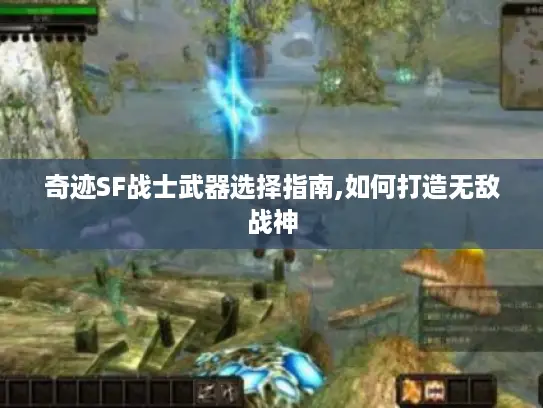 奇迹SF战士武器选择指南,如何打造无敌战神