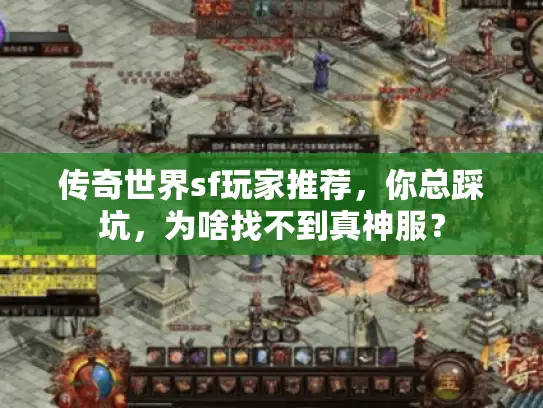 传奇世界sf玩家推荐，你总踩坑，为啥找不到真神服？