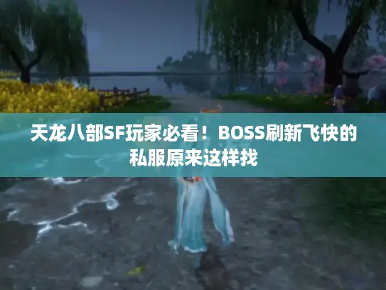 天龙八部SF玩家必看!BOSS刷新飞快的私服原来这样找 天龙八部SF玩家必看!BOSS刷新飞快的私服原来这样找