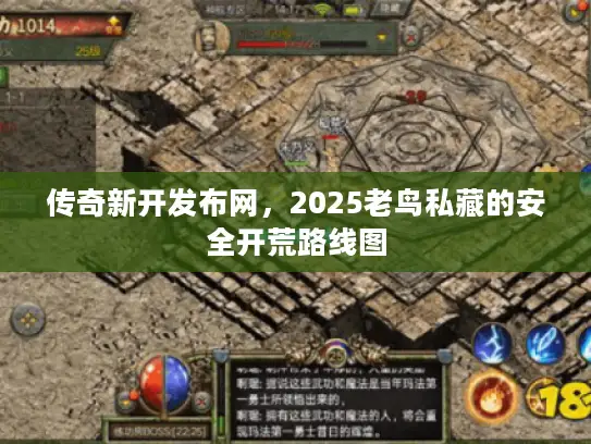 传奇新开发布网，2025老鸟私藏的安全开荒路线图