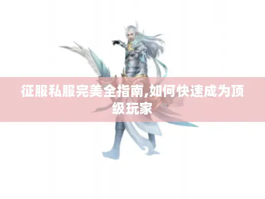 征服私服完美全指南,如何快速成为顶级玩家