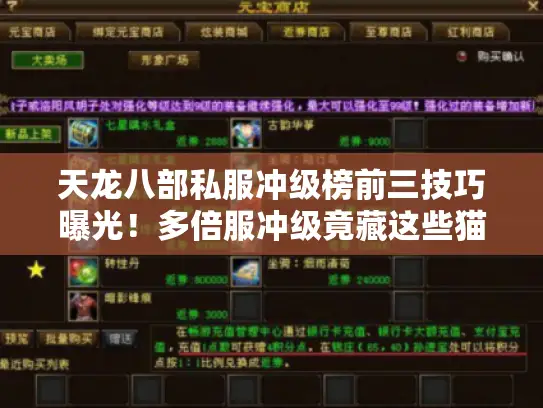 天龙八部私服冲级榜前三技巧曝光！多倍服冲级竟藏这些猫腻