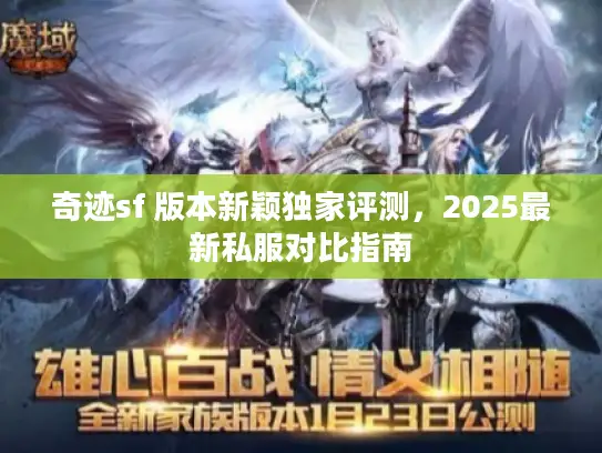 奇迹sf 版本新颖独家评测，2025最新私服对比指南