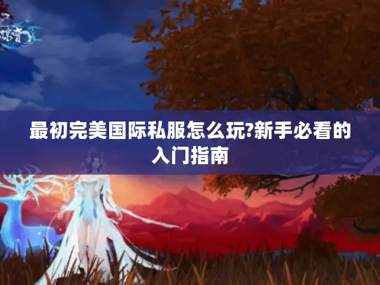 最初完美国际私服怎么玩?新手必看的入门指南