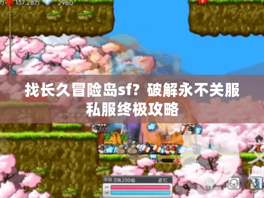找长久冒险岛sf？破解永不关服私服终极攻略