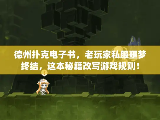 德州扑克电子书，老玩家私服噩梦终结，这本秘籍改写游戏规则！