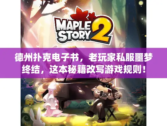 德州扑克电子书，老玩家私服噩梦终结，这本秘籍改写游戏规则！