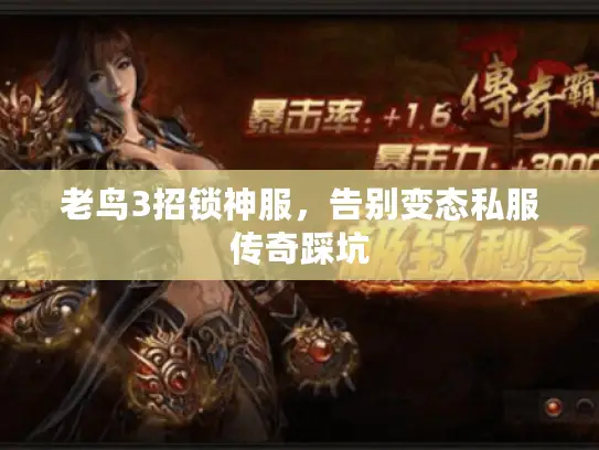 老鸟3招锁神服,告别变态私服传奇踩坑 老鸟3招锁神服,告别变态私服传奇踩坑