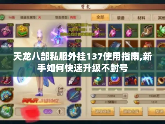 天龙八部私服外挂137使用指南,新手如何快速升级不封号