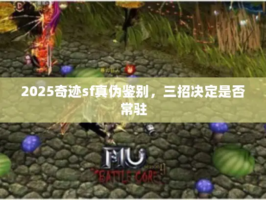 2025奇迹sf真伪鉴别,三招决定是否常驻 2025奇迹sf真伪鉴别,三招决定是否常驻