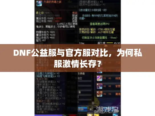 DNF公益服与官方服对比，为何私服激情长存？