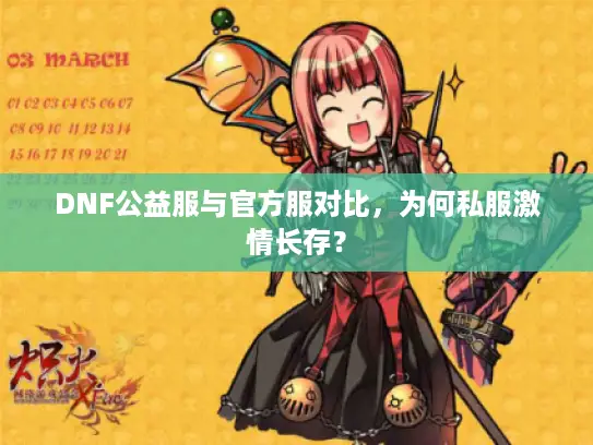 DNF公益服与官方服对比，为何私服激情长存？