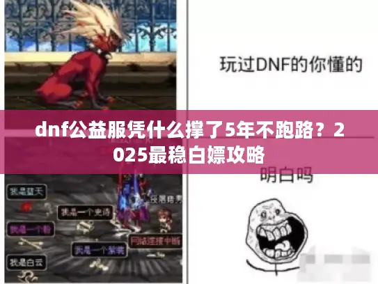 dnf公益服凭什么撑了5年不跑路？2025最稳白嫖攻略
