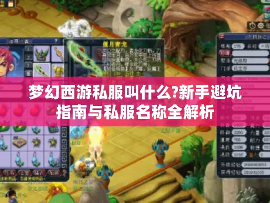 梦幻西游私服叫什么?新手避坑指南与私服名称全解析