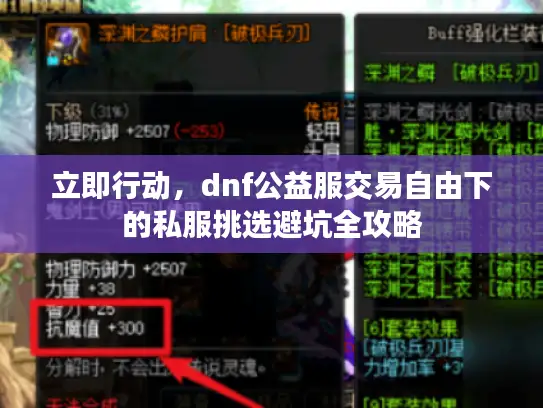 立即行动,dnf公益服交易自由下的私服挑选避坑全攻略 立即行动,dnf公益服交易自由下的私服挑选避坑全攻略